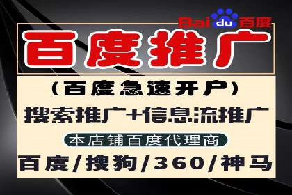 百度广告推广案例费用分析报告